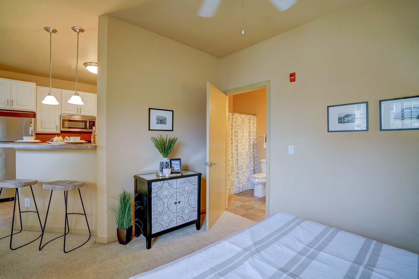 Gallery Photo 31